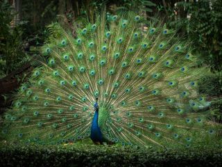 فال روز شنبه ۱۳ دسامبر - ۲۲ آذر