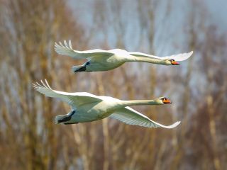 فال روز سه‌شنبه ۱۶ دسامبر - ۲۵ آذر