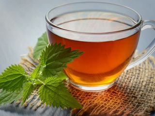 توصیه پژوهشگران استرالیایی به زنان: چای بنوشید تا استخوان‌هایتان مستحکم بماند