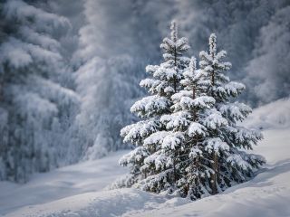 فال روز شنبه ۲۰ دسامبر - ۲۹ آذر