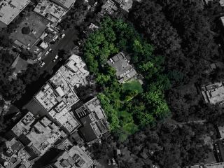 باغ ۳ هزارمتری زعفرانیه چگونه در یک جلسه مشکوک غیرباغ شد؟ | پرونده سکوت ۲ هزار میلیارد تومانی اعضای شورای شهر