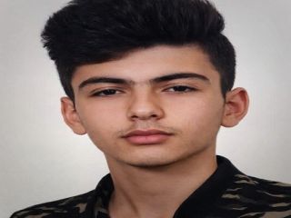 پدر امیرحسام خدایاری‌فرد: پسرم بسیجی نبود ؛ بسیج و سپاه: نخیر، او بسیجی بود