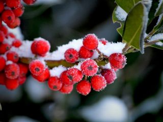 فال روز چهارشنبه ۷ ژانویه - ۱۷ دی