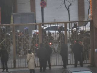 ورود مجلس  به موضوع حمله نیروهای امنیتی به بیمارستان‌ها؛ آمریکا: حمله به بیمارستان وحشی‌گری است