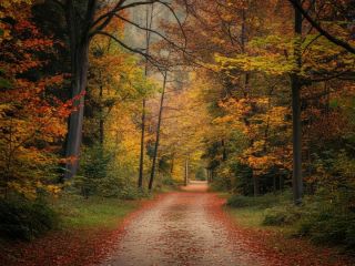 فال روز شنبه ۱۰ ژانویه - ۲۰ دی