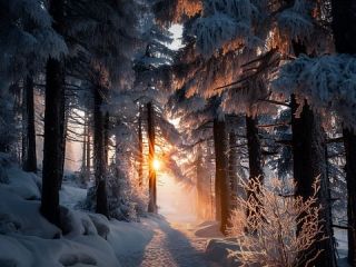 فال روز سه‌شنبه ۱۳ ژانویه - ۲۳ دی