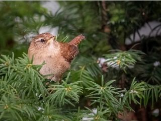 فال روز شنبه ۱۷ ژانویه - ۲۷ دی