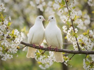 فال روز یکشنبه ۱۸ ژانویه - ۲۸ دی