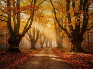 فال روز دوشنبه ۱۹ ژانویه - ۲۹ دی