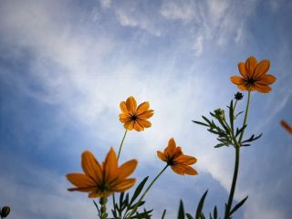 فال روز چهارشنبه ۲۱ ژانویه - ۱ بهمن