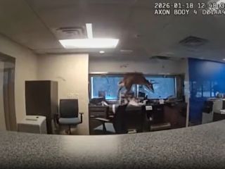 با صدای آژیربانک، پلیس بلافاصله خود را رساند ولی به جای سارق یک گوزن نَر آنجا بود