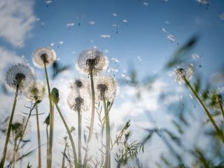 فال روز شنبه ۳۱ ژانویه - ۱۱ بهمن