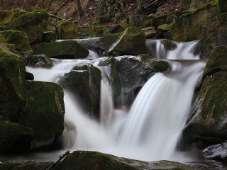 فال روز سه‌شنبه ۳ فوریه - ۱۴ بهمن