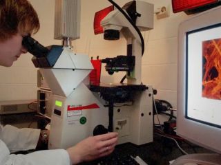 بیش از یک‌سوم موارد بیماری سرطان قابل پیشگیری است