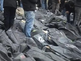 سوگ ناتمام ؛ مادرانی که التماس‌کنان از «وحید آنلاین» میخواهند فرزند گمشده‌ را در آرشیو تار شده پیدا کند