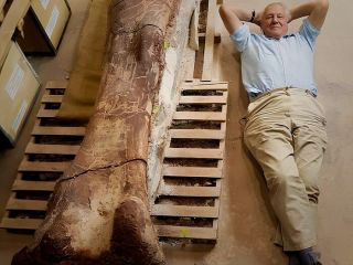 تاریخی که هنوز تمام نشده؛ رازهایی که زمین همچنان پنهان کرده است