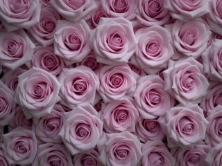 فال روز پنجشنبه ۱۲ فوریه - ۲۳ بهمن