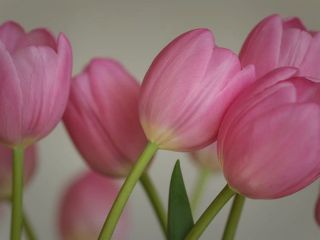 فال روز جمعه ۱۳ فوریه - ۲۴ بهمن