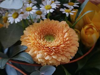 فال روز شنبه ۱۴ فوریه - ۲۵ بهمن