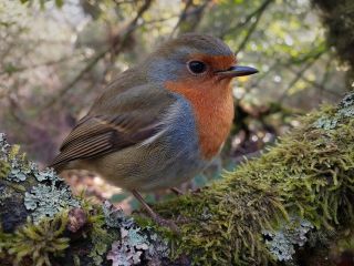 فال روز یکشنبه ۱۵ فوریه - ۲۶ بهمن