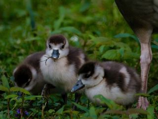 فال روز چهارشنبه ۱۸ فوریه - ۲۹ بهمن