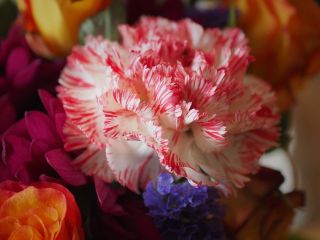 فال روز شنبه ۲۱ فوریه - ۲ اسفند