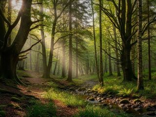 فال روز یکشنبه ۲۲ فوریه - ۳ اسفند