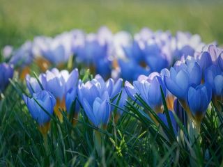 فال روز دوشنبه ۲۳ فوریه - ۴ اسفند