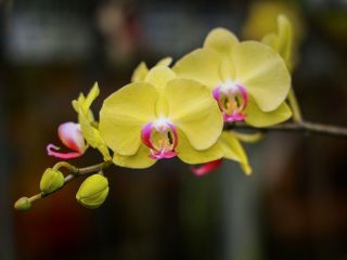 فال روز پنجشنبه ۲۶ فوریه - ۷ اسفند