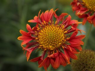 فال روز جمعه ۲۷ فوریه -  ۸ اسفند