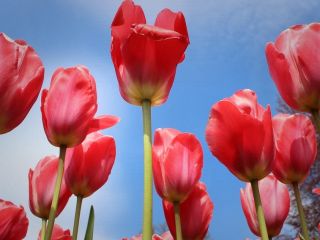 فال روز دوشنبه ۲ مارچ - ۱۱ اسفند