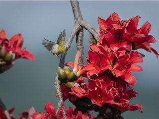 فال روز سه‌شنبه ۳ مارچ - ۱۲ اسفند