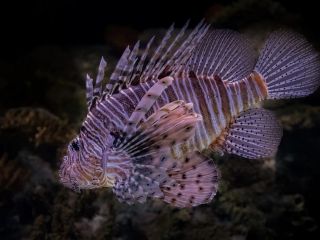 فال روز پنجشنبه ۵ مارچ - ۱۴ اسفند