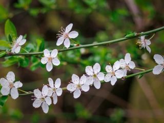 فال روز چهارشنه ۱۱ مارچ - ۲۰ اسفند