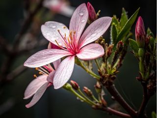 فال روز پنجشنبه ۱۲ مارچ - ۲۱ اسفند