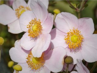 فال روز شنبه ۱۴ مارچ - ۲۳ اسفند