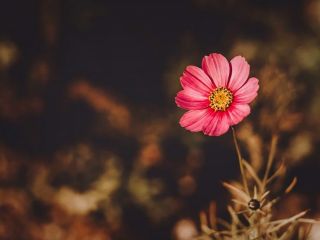 فال روز دوشنبه ۱۶ مارچ - ۲۵ اسفند