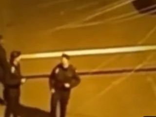 شگرد دیدنی یک شهروند برای فراری دادن مأموران فقط با پخش صدای پهپاد