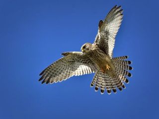 فال روز چهارشنبه ۱۸ مارچ - ۲۷ اسفند