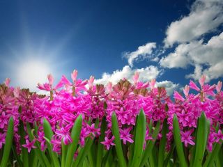 فال روز شنبه ۲۱ مارچ - ۱ فروردین