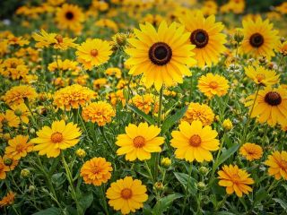 فال روز یکشنبه ۲۲ مارچ - ۲ فروردین