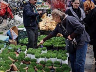 واکنش مردم به احتمال مذاکرات میان جمهوری اسلامی و آمریکا: «فقط می‌خواهم آنها بروند»