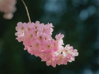 فال روز جمعه ۲۷ مارچ - ۷ فروردین