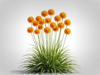 فال روز یکشنبه ۲۹ مارچ - ۹ فروردین