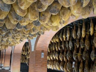 راز «پاتا نگارا»: گوشت ران خوک ایبریایی ۱۰۰٪ بلوط‌خوار، به دنبال فتح جهان است