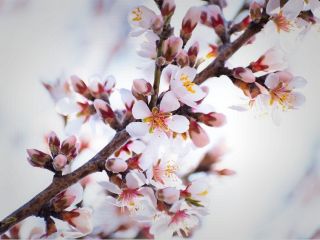 فال روز دوشنبه ۳۰ مارچ - ۱۰ فروردین