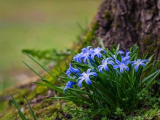 فال روز پنجشنبه ۲ اپریل - ۱۳ فروردین