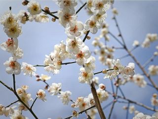 فال روز جمعه ۳ اپریل - ۱۴ فروردین